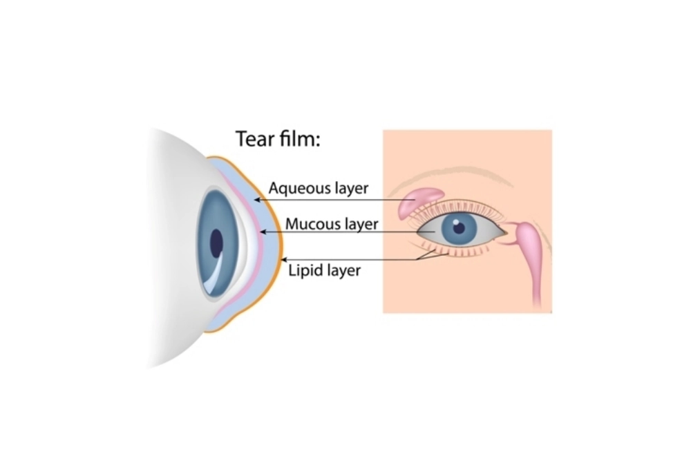 A graphic depicting the tear layers of the eye